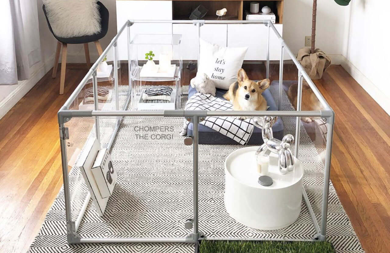 27" Tall Large Lucidium Pet Pen