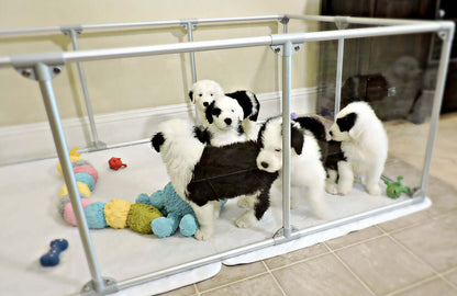 27" (69 cm) Tall Large Lucidium Pet Pen.
