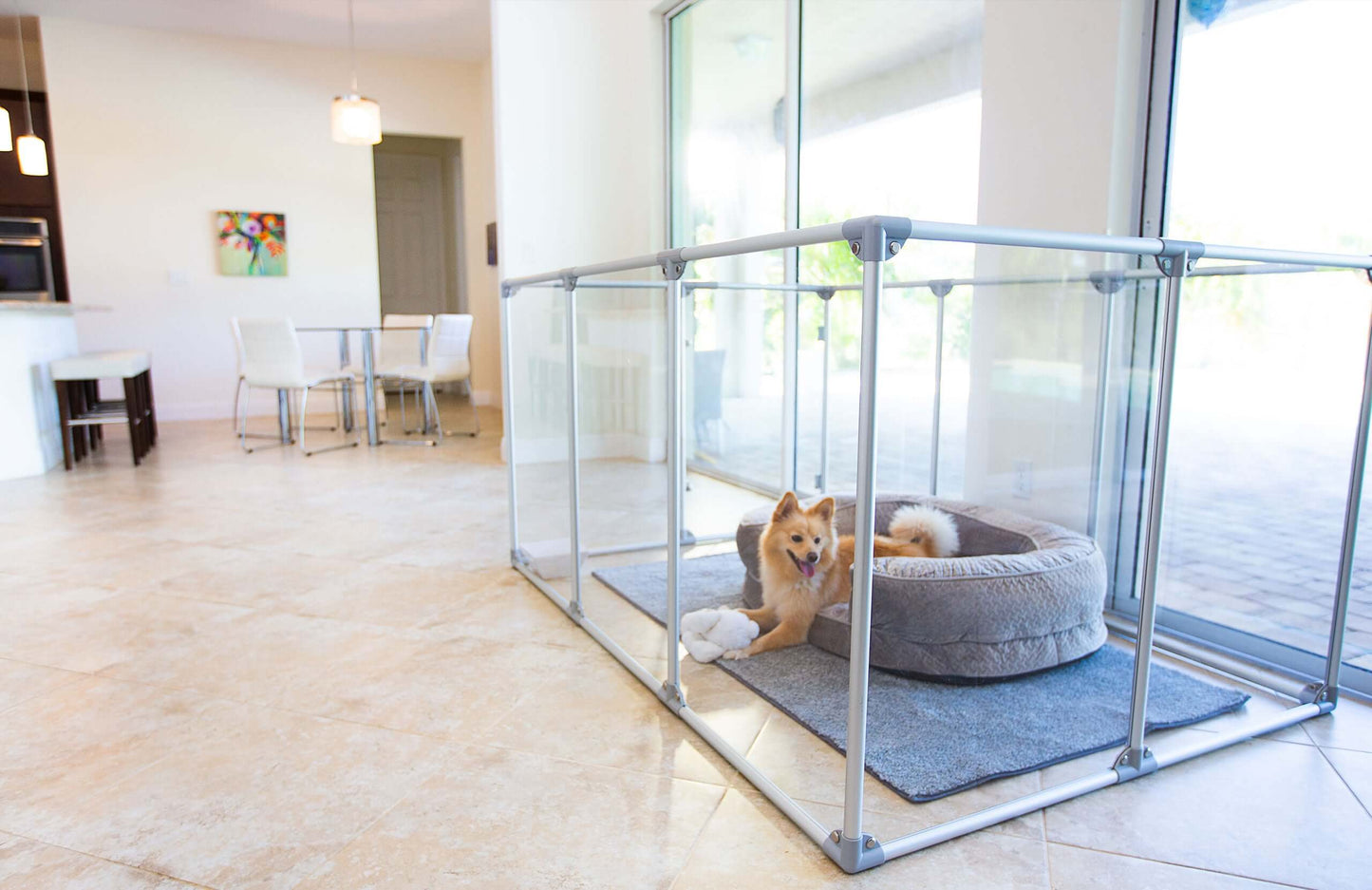 36" Tall Large Lucidium Pet Pen, WHITE - (Unused Return)