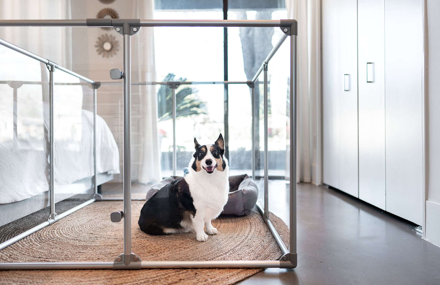 36" Tall Medium Lucidium Pet Pen