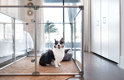 36" Tall Medium Lucidium Pet Pen