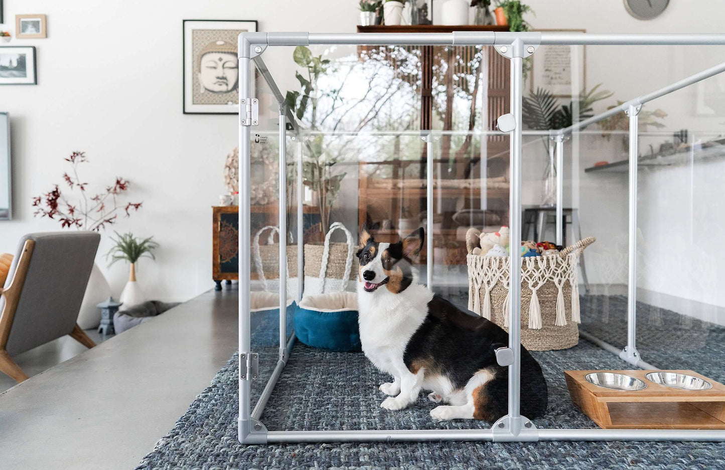 36" Tall Medium Lucidium Pet Pen