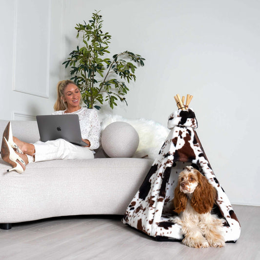 Modern Luxury Pet Teepee with Memory Foam