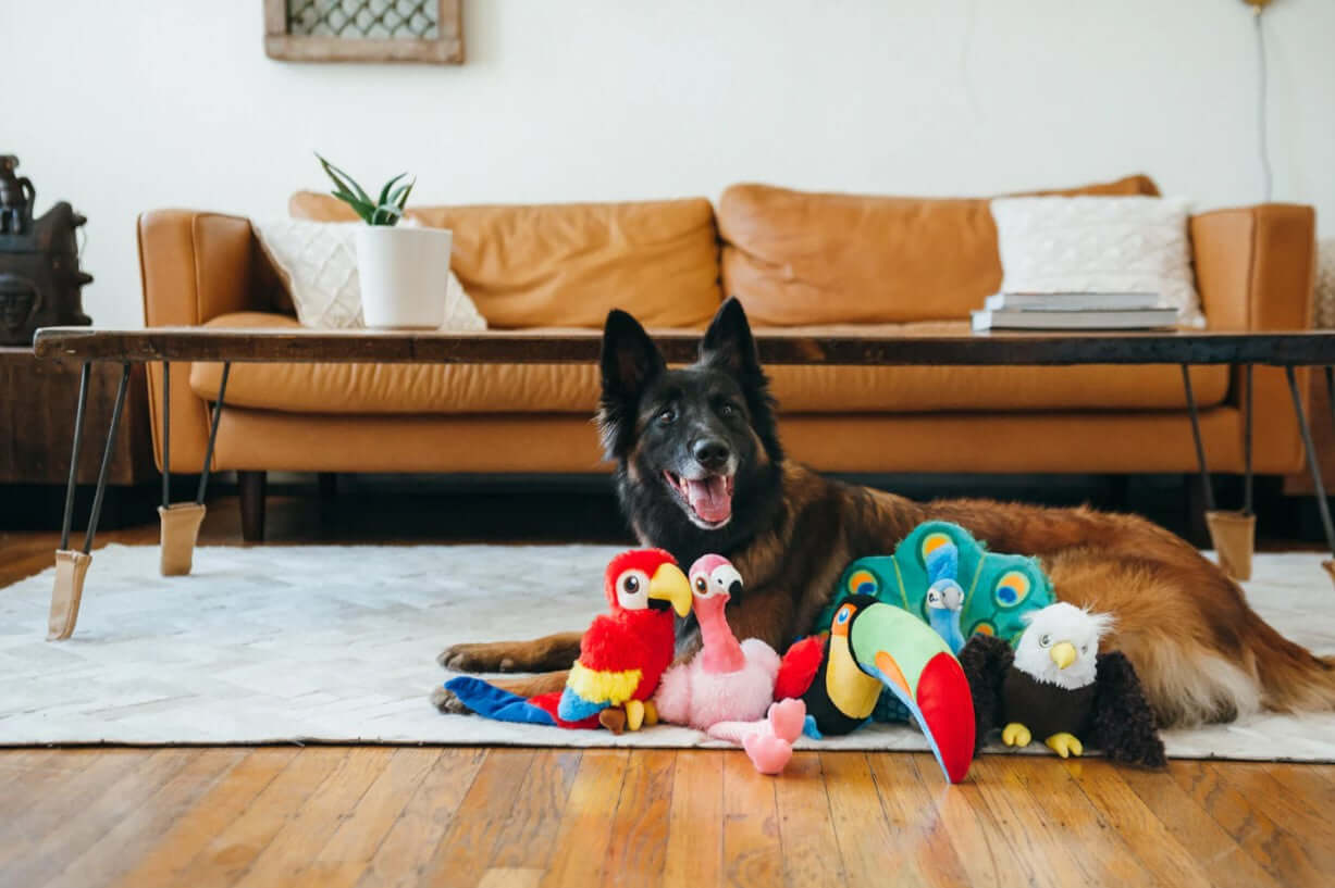 P.L.A.Y. Fetching Flock Toy Set