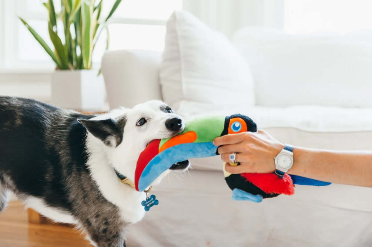 P.L.A.Y. Fetching Flock Toy Set