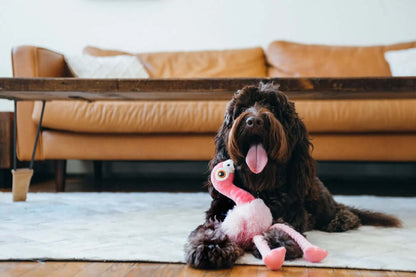 P.L.A.Y. Fetching Flock Toy Set