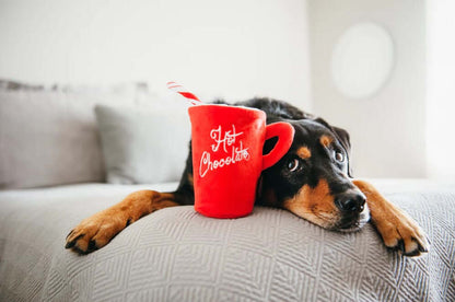 P.L.A.Y. Holiday Classic Toy Set