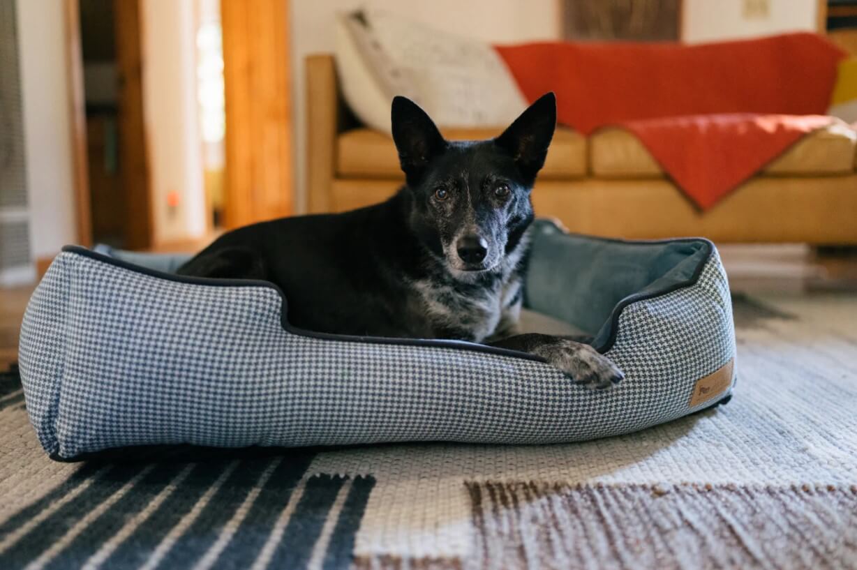 P.L.A.Y. Houndstooth Lounge Beds