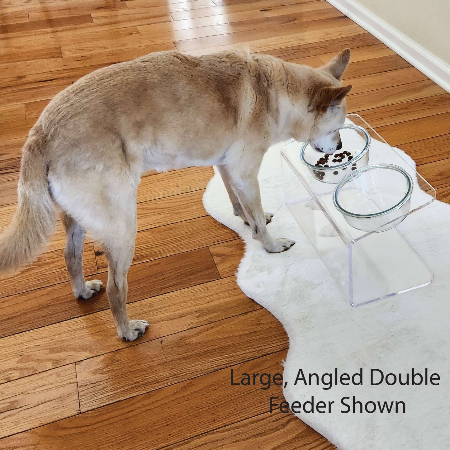 Modern Acrylic Glass Bowl Feeders, Angled Style, Double Bowl