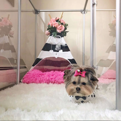 27" (69 cm) Tall Small Lucidium Pet Pen.