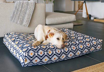 P.L.A.Y. Marina Boxy Bed