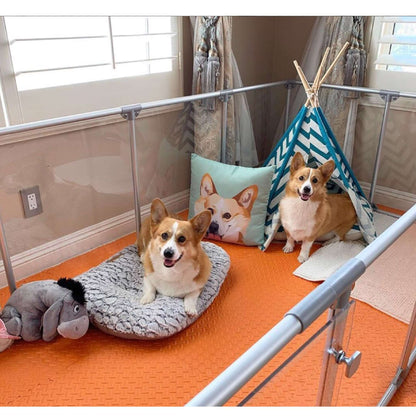 27" Tall Large Lucidium Pet Pen