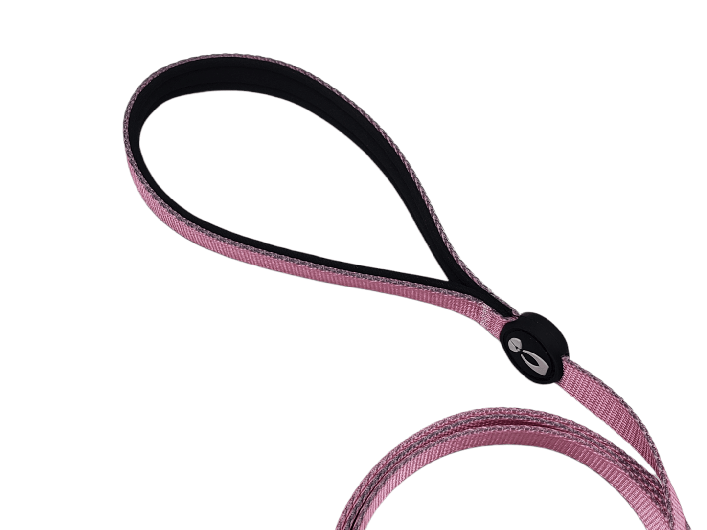 Dog Leash
