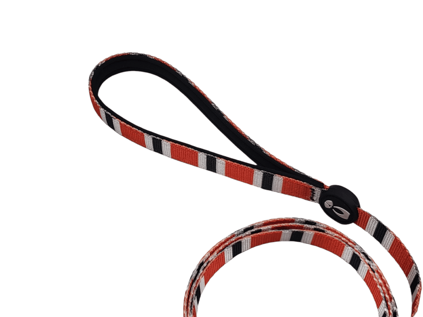 Dog Leash