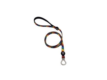 Dog Leash