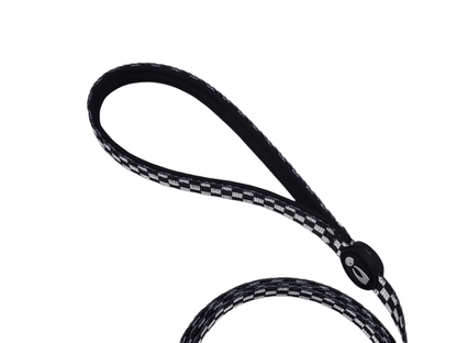 Dog Leash