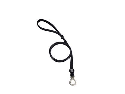 Dog Leash