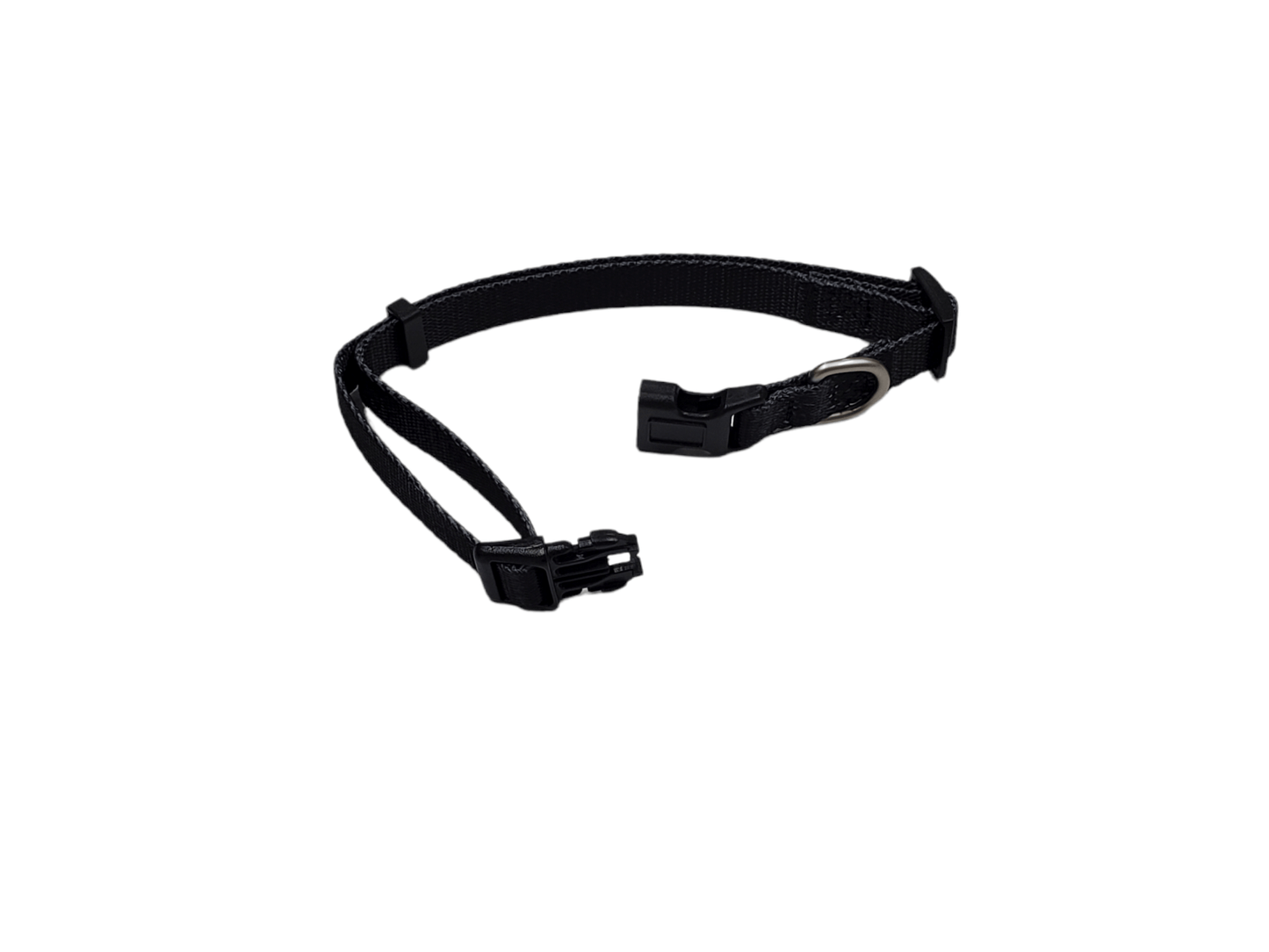 Dog Collar