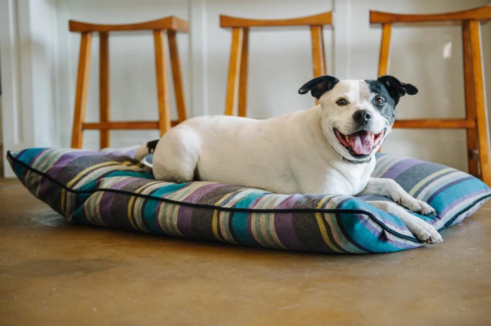 P.L.A.Y. Horizon Pillow Beds