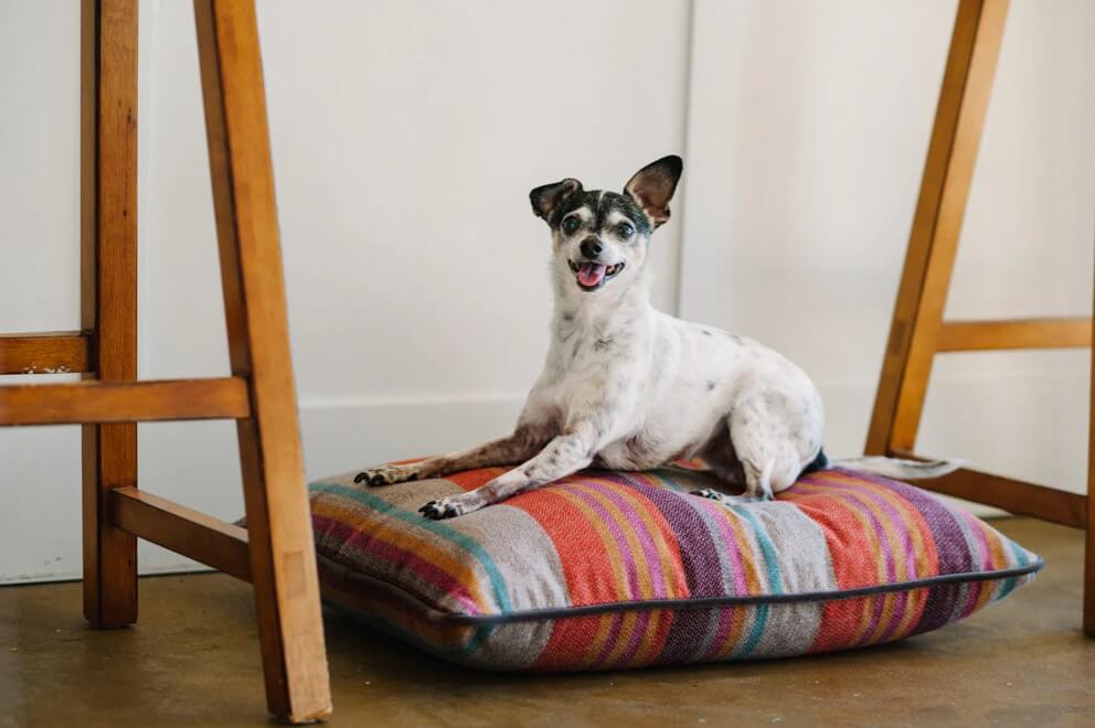 P.L.A.Y. Horizon Pillow Beds