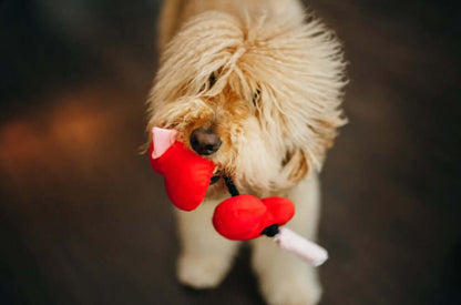 P.L.A.Y. Puppy Love Toy Set