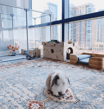 36" Tall Medium Lucidium Pet Pen