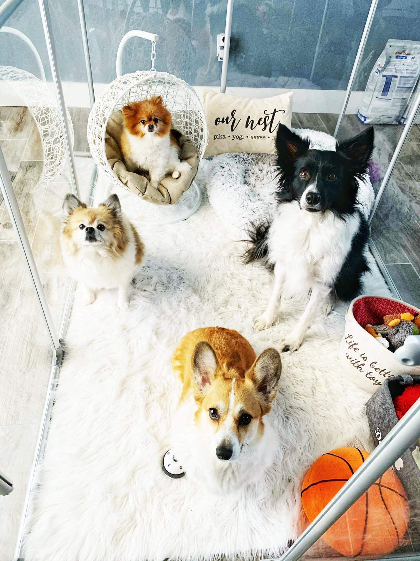 36" Tall Large Lucidium Pet Pen, SILVER - (Unused Return)