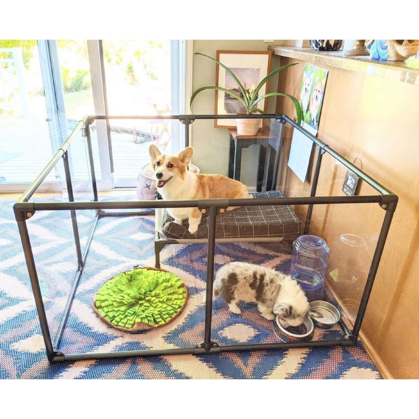 27" Tall Medium Lucidium Pet Pen